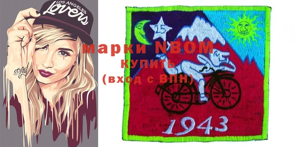 индика Белокуриха