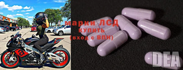 индика Белокуриха