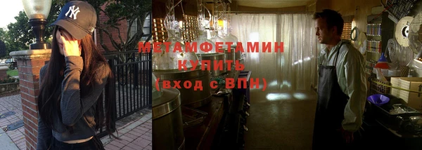 индика Белокуриха