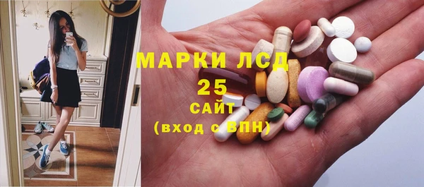 индика Белокуриха