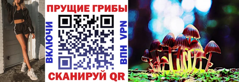 Псилоцибиновые грибы мухоморы  где продают наркотики  Ворсма 